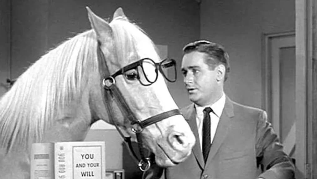Mr. Ed